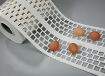 自動產蛋箱雞蛋輸送帶，集蛋帶
